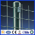 DM Low Carbon Steel Euro Style Wire Mesh Fencing, 50 * 100 Green Pvc Cloté en maille ondulée